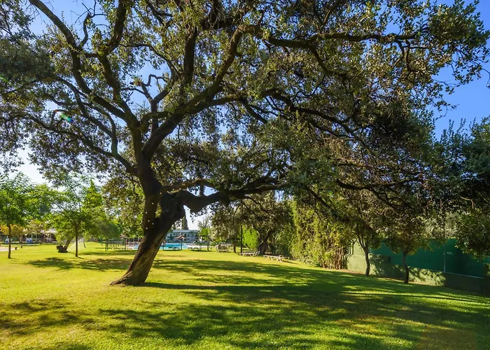 Crisol Jardines De Cordoba